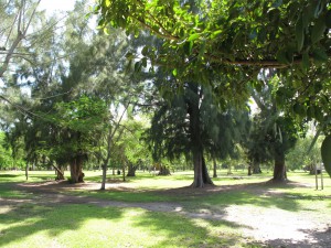 Dante Fascell Park 